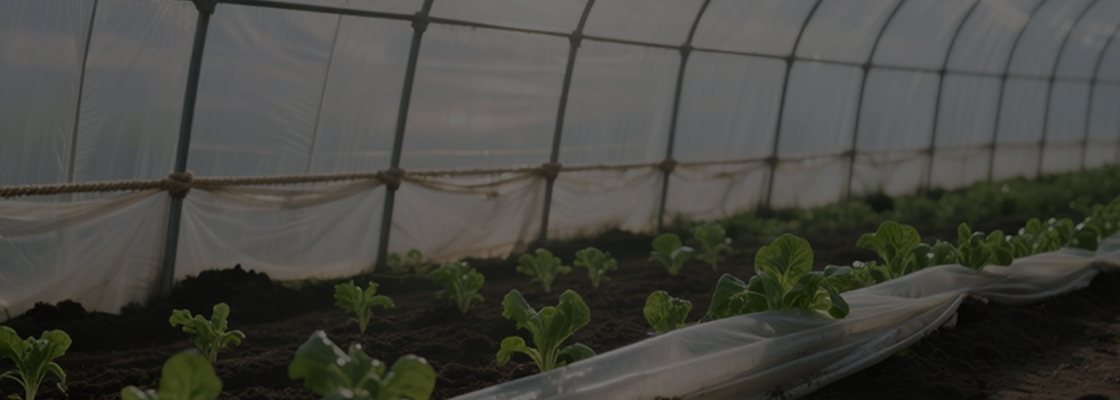 Günlük Kullanım Kimyasalları